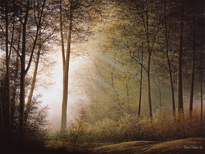 David Daase Beyond The Shadows